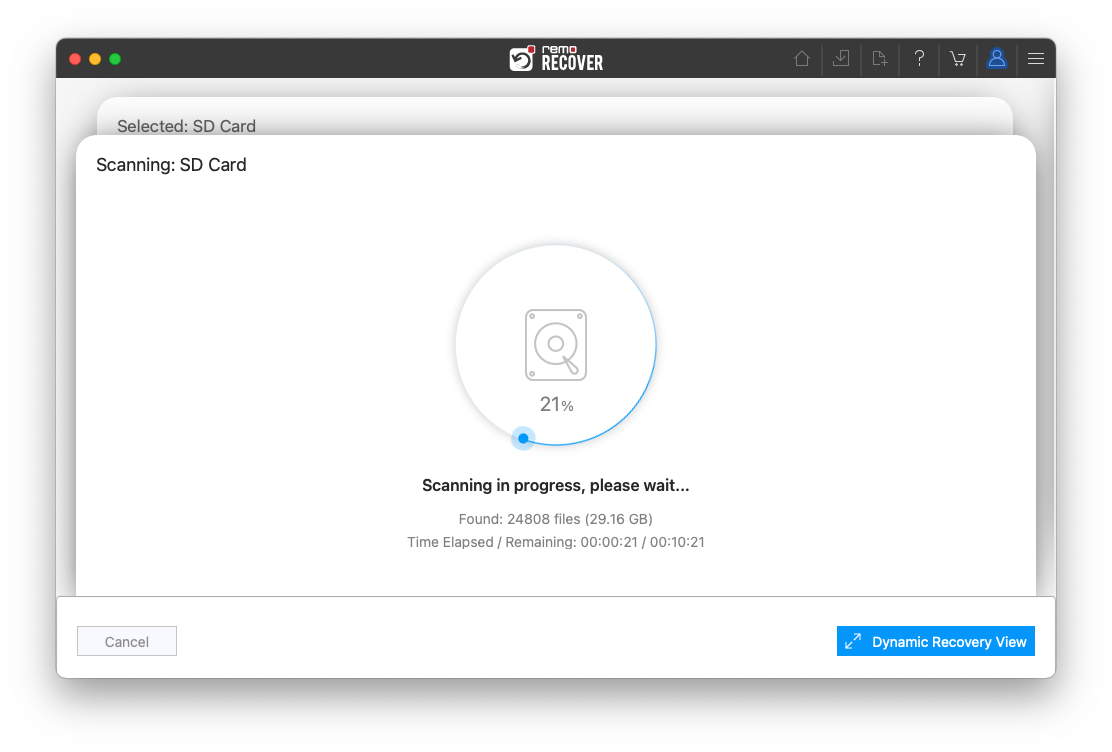 Dynamic Recovery View