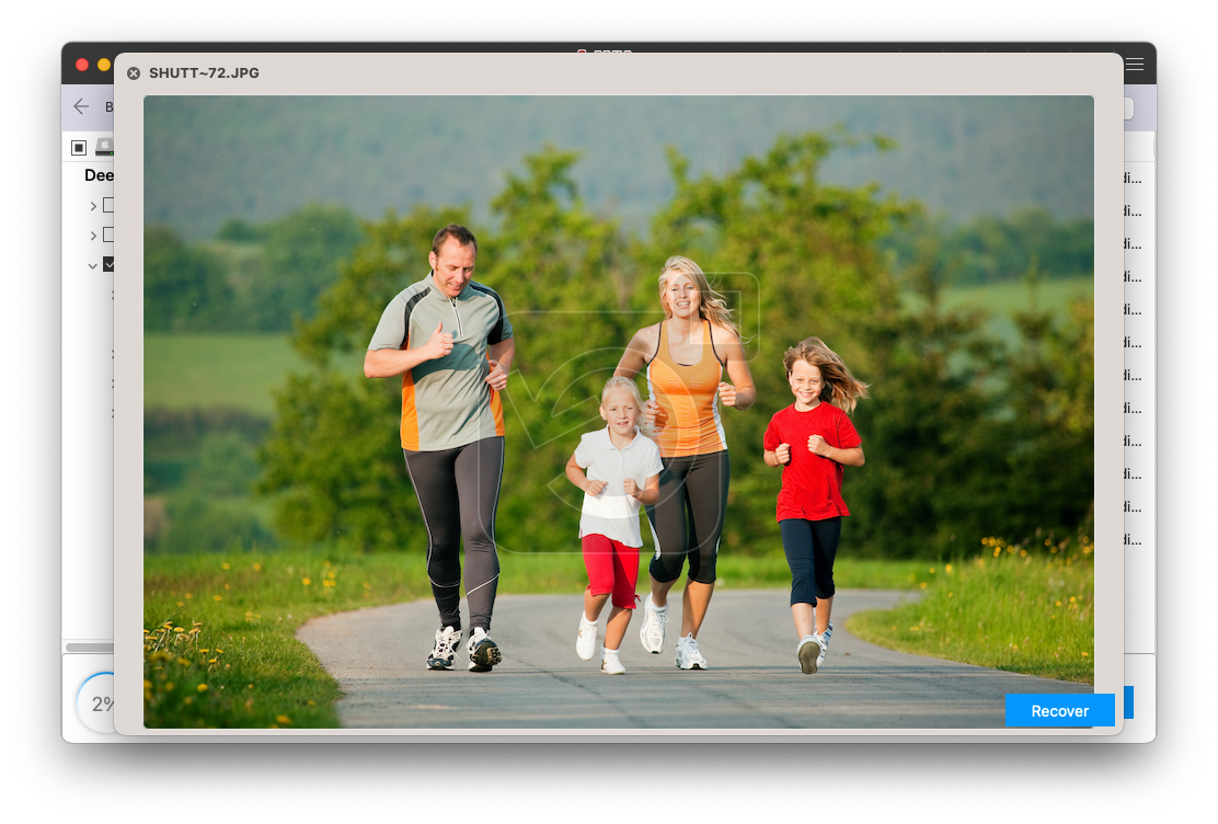 preview the recovered files from the mac that refuses to boot by double clicking on it